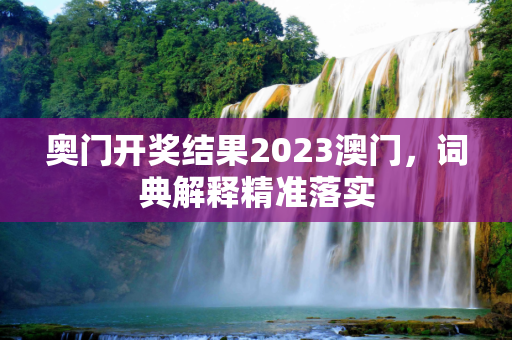奥门开奖结果2023澳门，词典解释精准落实