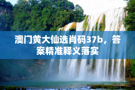 澳门黄大仙选肖码37b，答案精准释义落实