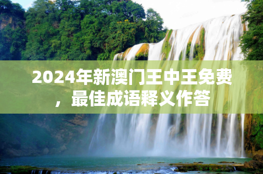 2024年新澳门王中王免费，最佳成语释义作答