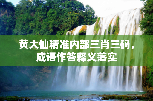 黄大仙精准内部三肖三码，成语作答释义落实
