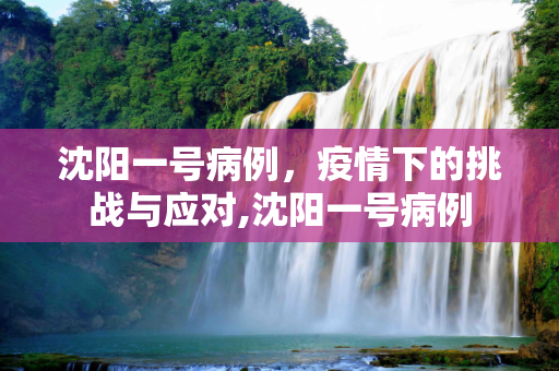 沈阳一号病例，疫情下的挑战与应对,沈阳一号病例