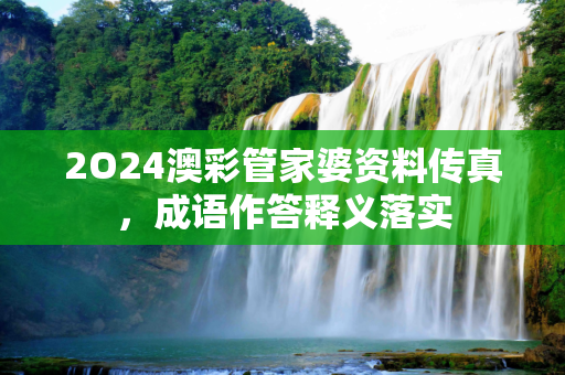 2O24澳彩管家婆资料传真，成语作答释义落实