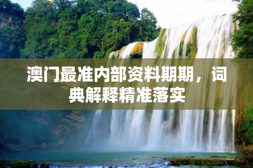 澳门最准内部资料期期，词典解释精准落实