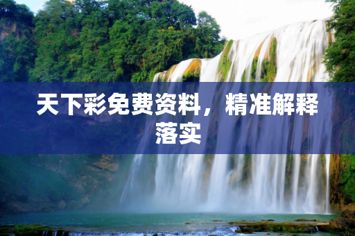 天下彩免费资料，精准解释落实
