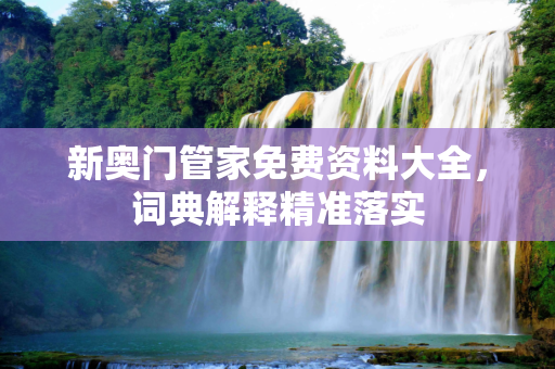 新奥门管家免费资料大全，词典解释精准落实