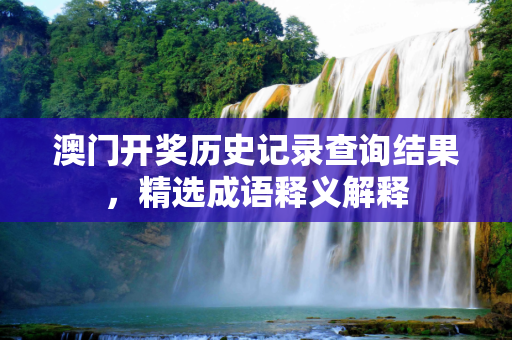 澳门开奖历史记录查询结果，精选成语释义解释