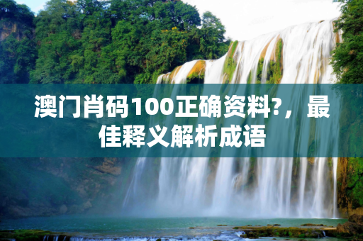 澳门肖码100正确资料?，最佳释义解析成语
