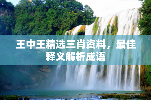 王中王精选三肖资料，最佳释义解析成语