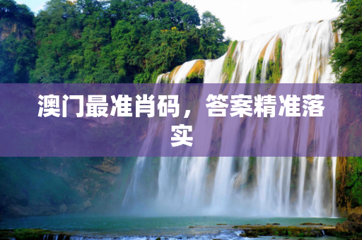 澳门最准肖码，答案精准落实
