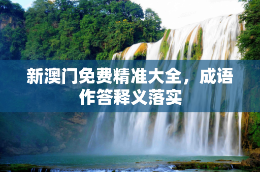 新澳门免费精准大全，成语作答释义落实