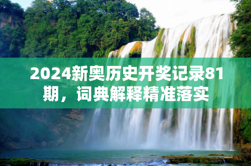 2024新奥历史开奖记录81期，词典解释精准落实