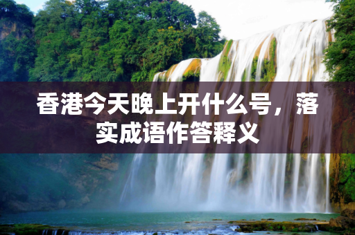 香港今天晚上开什么号，落实成语作答释义