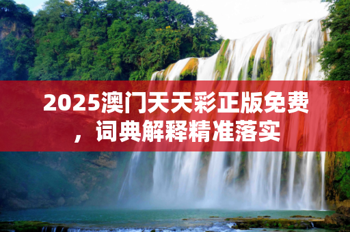2025澳门天天彩正版免费，词典解释精准落实