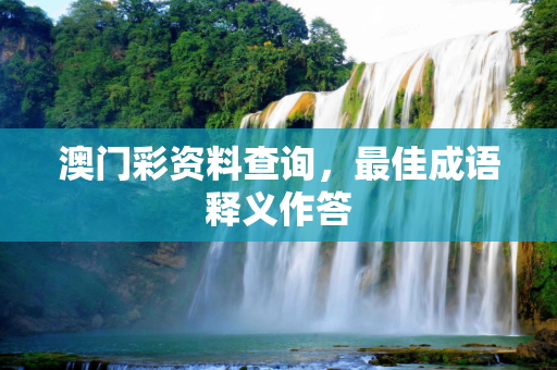 澳门彩资料查询，最佳成语释义作答