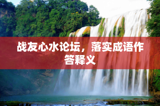 战友心水论坛，落实成语作答释义