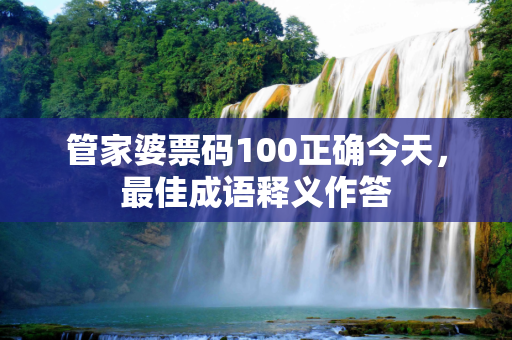管家婆票码100正确今天，最佳成语释义作答