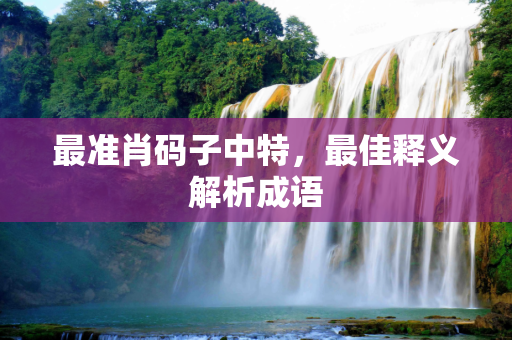 最准肖码子中特，最佳释义解析成语