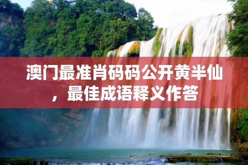 澳门最准肖码码公开黄半仙，最佳成语释义作答