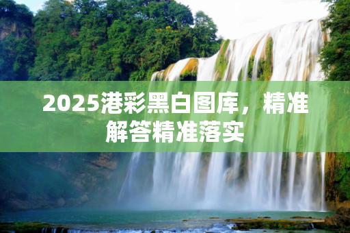 2025港彩黑白图库，精准解答精准落实