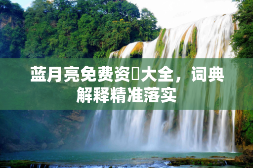 蓝月亮免费资枓大全，词典解释精准落实