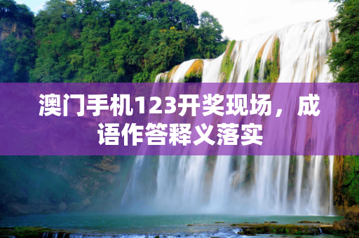 澳门手机123开奖现场，成语作答释义落实