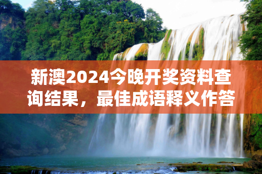 新澳2024今晚开奖资料查询结果，最佳成语释义作答