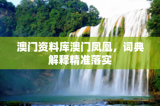 澳门资料库澳门凤凰，词典解释精准落实
