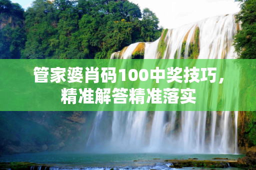 管家婆肖码100中奖技巧，精准解答精准落实