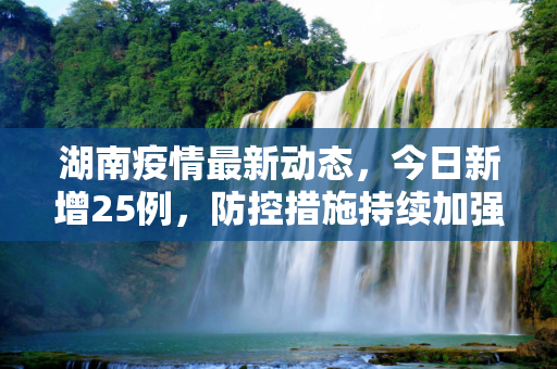 湖南疫情最新动态，今日新增25例，防控措施持续加强,湖南疫情最新消息今天新增25