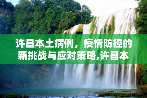 许昌本土病例，疫情防控的新挑战与应对策略,许昌本土病例