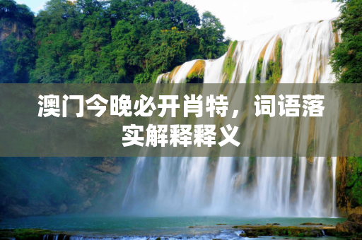 澳门今晚必开肖特，词语落实解释释义