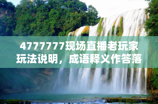 4777777现场直播老玩家玩法说明，成语释义作答落实