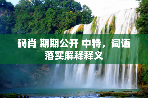 码肖 期期公开 中特，词语落实解释释义