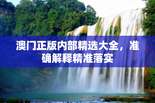 澳门正版内部精选大全，准确解释精准落实