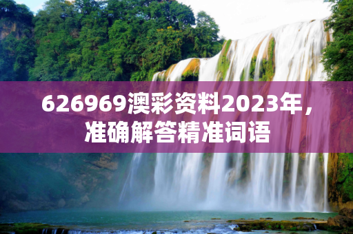 626969澳彩资料2023年，准确解答精准词语