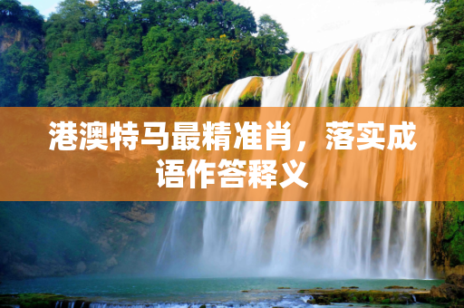 港澳特马最精准肖，落实成语作答释义