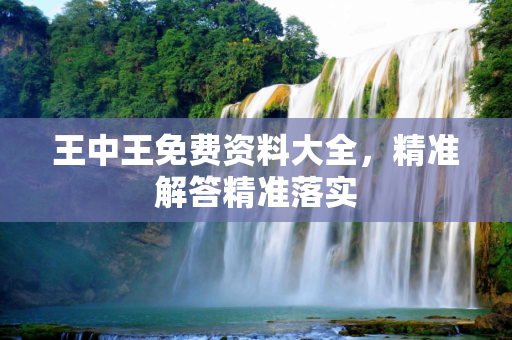 王中王免费资料大全，精准解答精准落实
