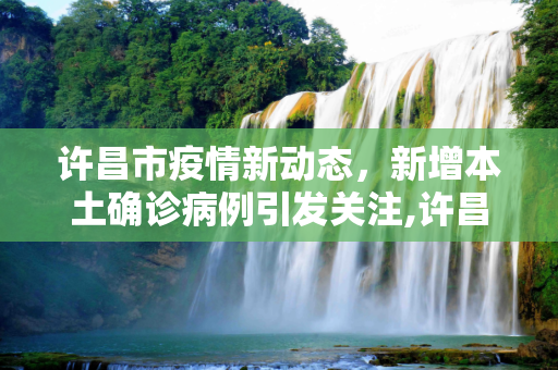 许昌市疫情新动态，新增本土确诊病例引发关注,许昌新增本土确诊