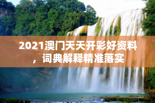 2021澳门天天开彩好资料，词典解释精准落实