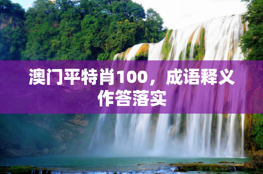 澳门平特肖100，成语释义作答落实