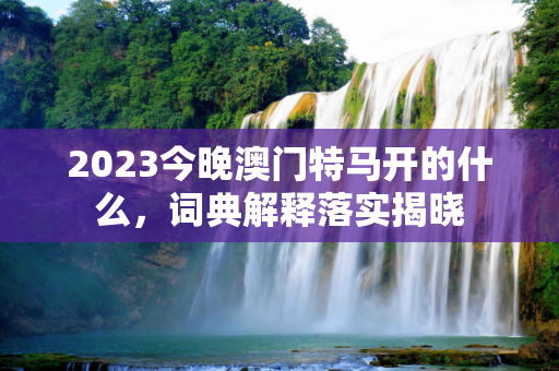 2023今晚澳门特马开的什么，词典解释落实揭晓