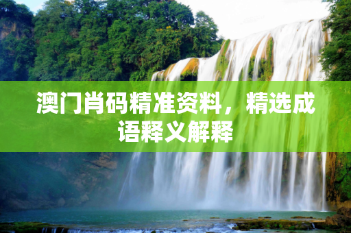 澳门肖码精准资料，精选成语释义解释