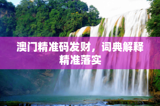 澳门精准码发财，词典解释精准落实
