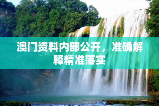 澳门资料内部公开，准确解释精准落实