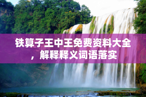 铁算子王中王免费资料大全，解释释义词语落实