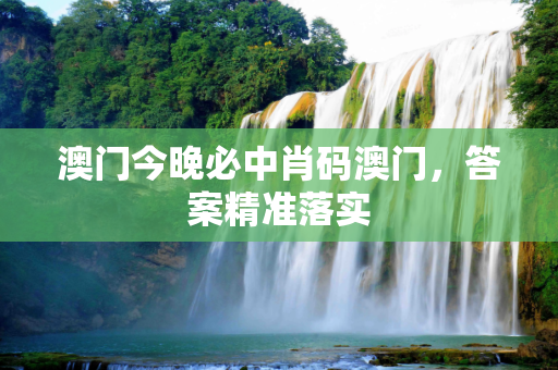 澳门今晚必中肖码澳门，答案精准落实
