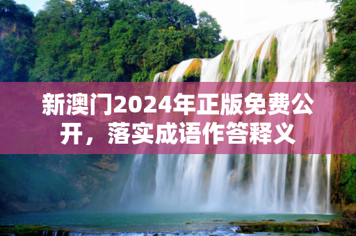 新澳门2024年正版免费公开，落实成语作答释义