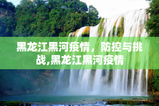 黑龙江黑河疫情，防控与挑战,黑龙江黑河疫情