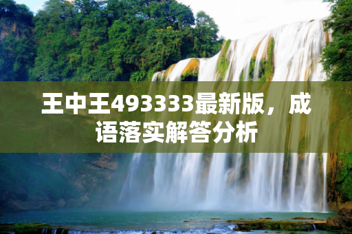 王中王493333最新版，成语落实解答分析