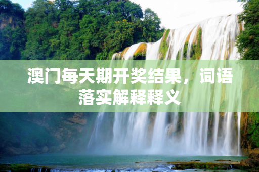澳门每天期开奖结果，词语落实解释释义